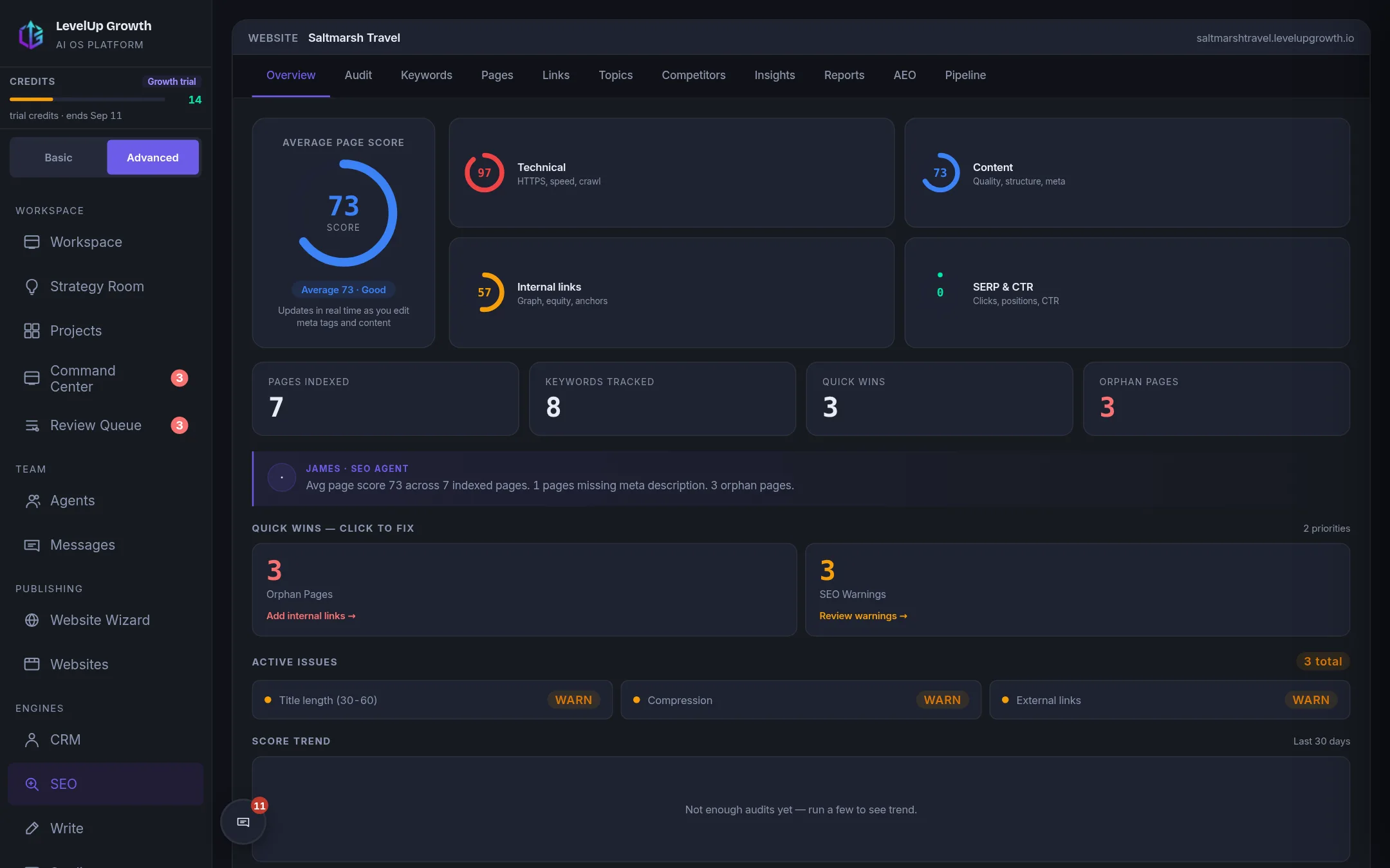 The SEO view for one site: audit areas, tracked keywords, quick wins.