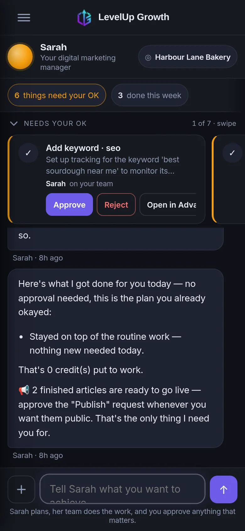 Sarah in a demo workspace: what needs your OK, and the plan she is running.
